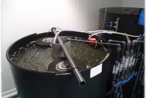 Sistem complet pentru productia intensiva de rotiferi