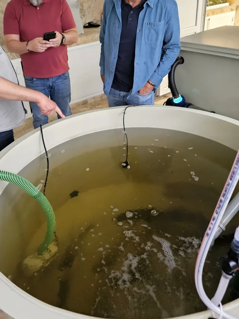 Portofoliu Ostryl Seatech