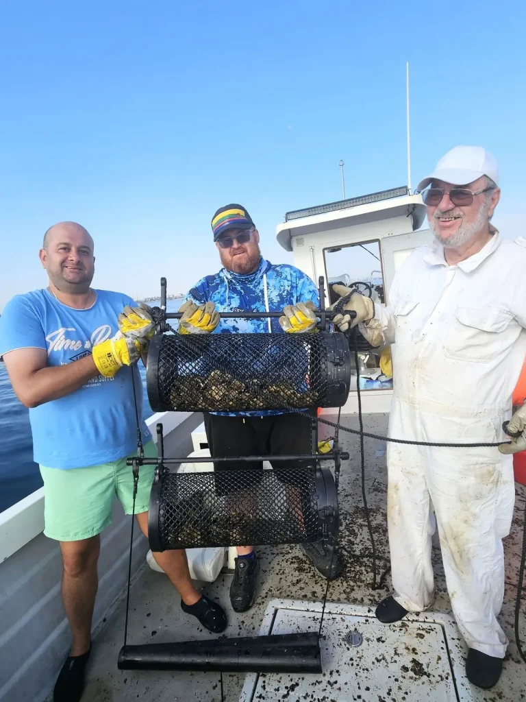 Portofoliu Ostryl Seatech