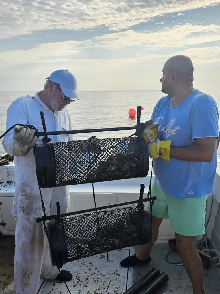 Portofoliu Ostryl Seatech